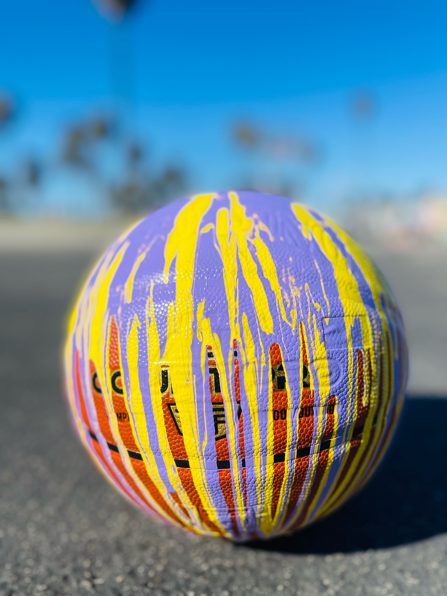 Custom Basketball — Mamba 8/24